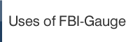 Uses of FBI-Gauge